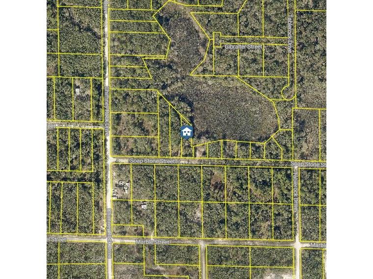 LOT 37 Soap Stone Street Webster FL 33597 W7880269 image2