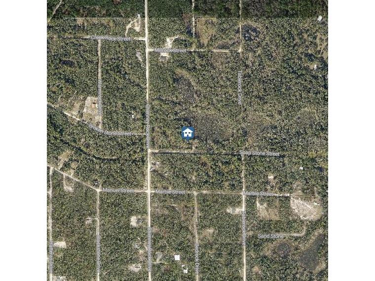 LOT 37 Soap Stone Street Webster FL 33597 W7880269 image3