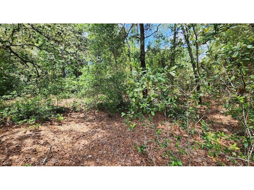 LOT 38 SE 99th Court Summerfield FL 34491 OM661023 image1