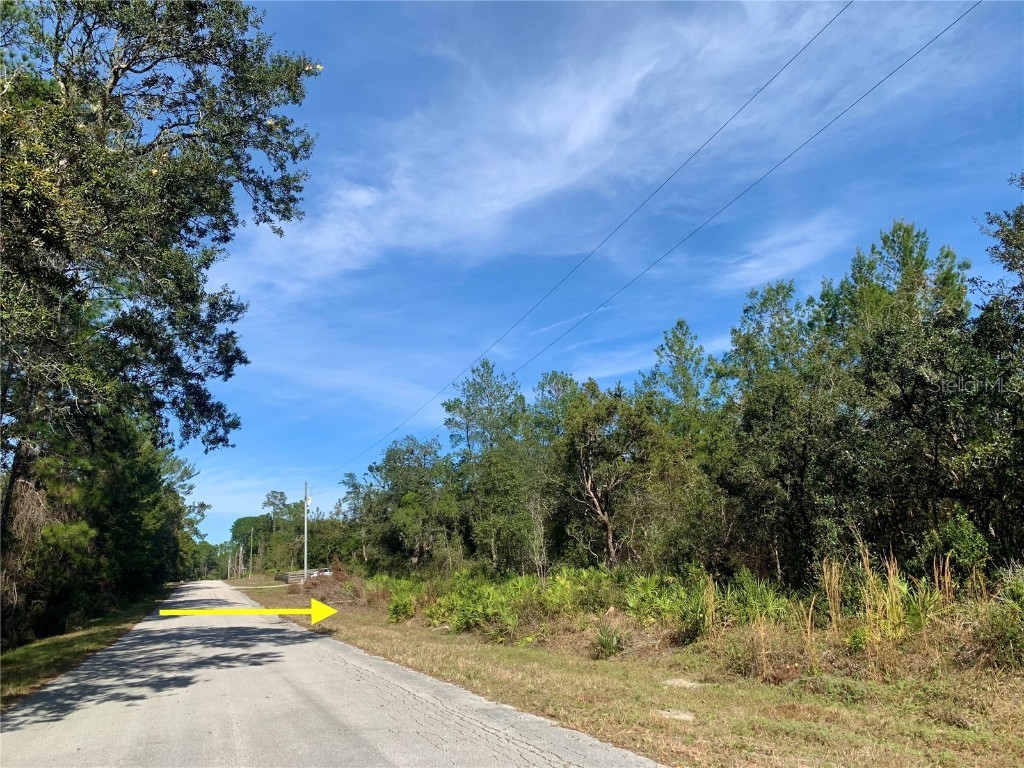 LOT 4 Apple Street Eustis FL 32736 G5076812 image1