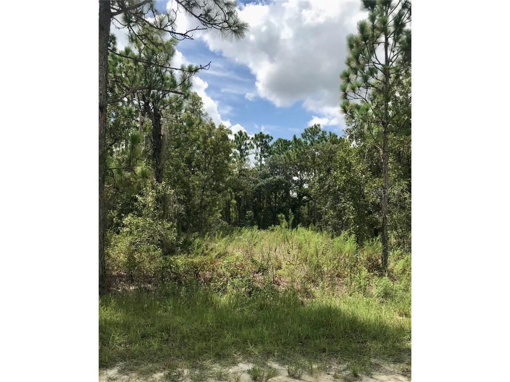 LOT 4 Florida Wren Avenue Brooksville FL 34614 W7875147 image2