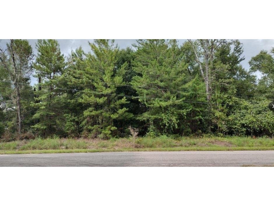 LOT 4 Guava Pass Ocklawaha FL 32179 OM651338 image1
