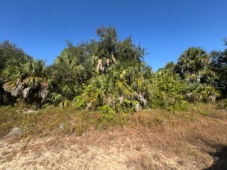 LOT 4 Mattox Circle North Port FL 34288 C7517971 image1