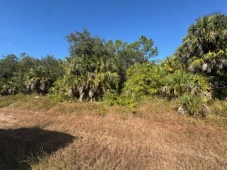 LOT 4 Mattox Circle North Port FL 34288 C7517971 image2