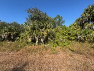 LOT 4 Mattox Circle North Port FL 34288 C7517971 image4
