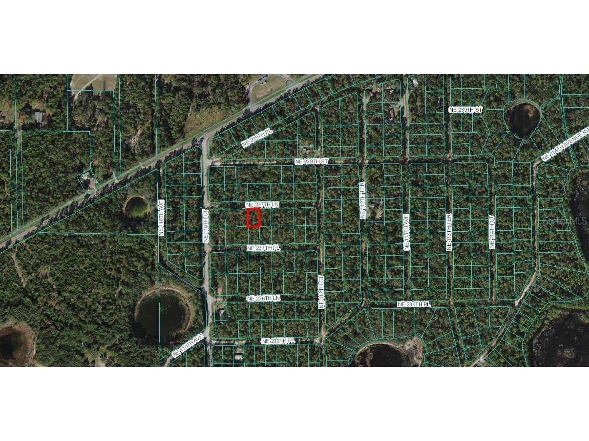 LOT 4 NE 237th Lane Fort Mc Coy FL 32134 OM633388 image2