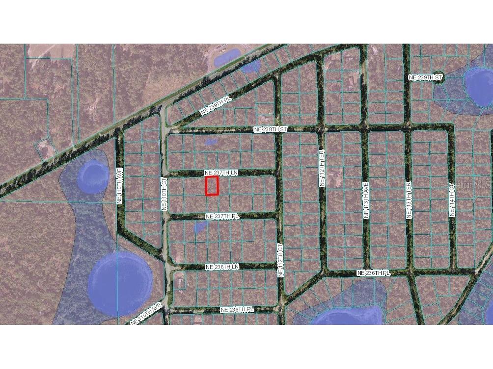 LOT 4 NE 237th Lane Fort Mc Coy FL 32134 OM633388 image3
