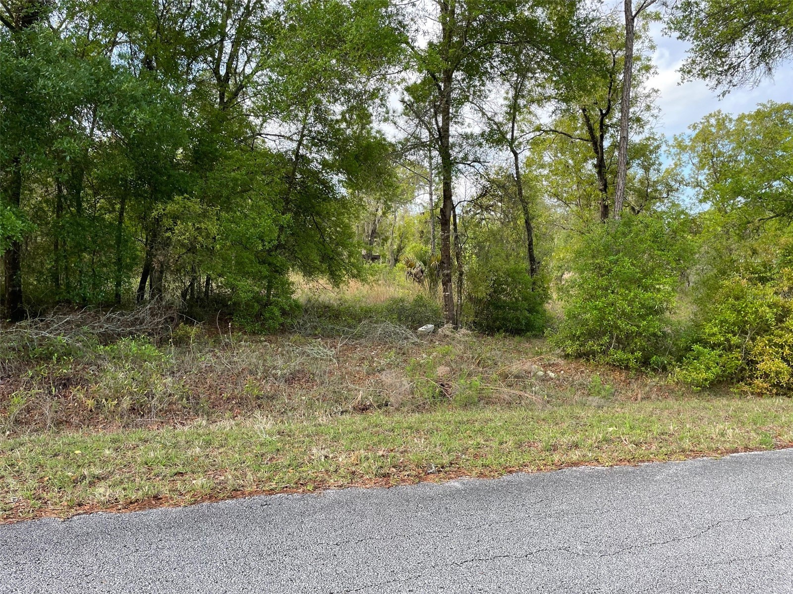 LOT 4 SW Lakeland Heights Avenue Dunnellon FL 34431 OM722487 image1