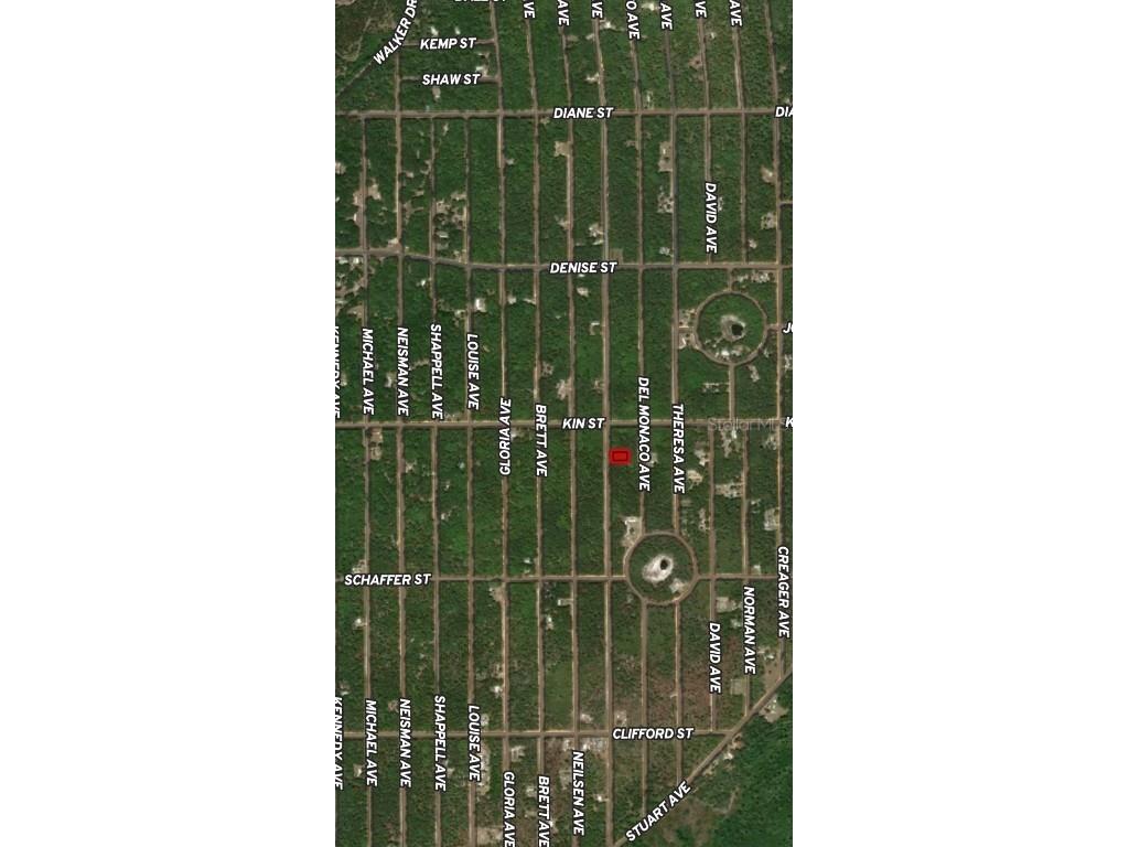 LOT 4 Usina Avenue Interlachen FL 32148 OM710490 image2