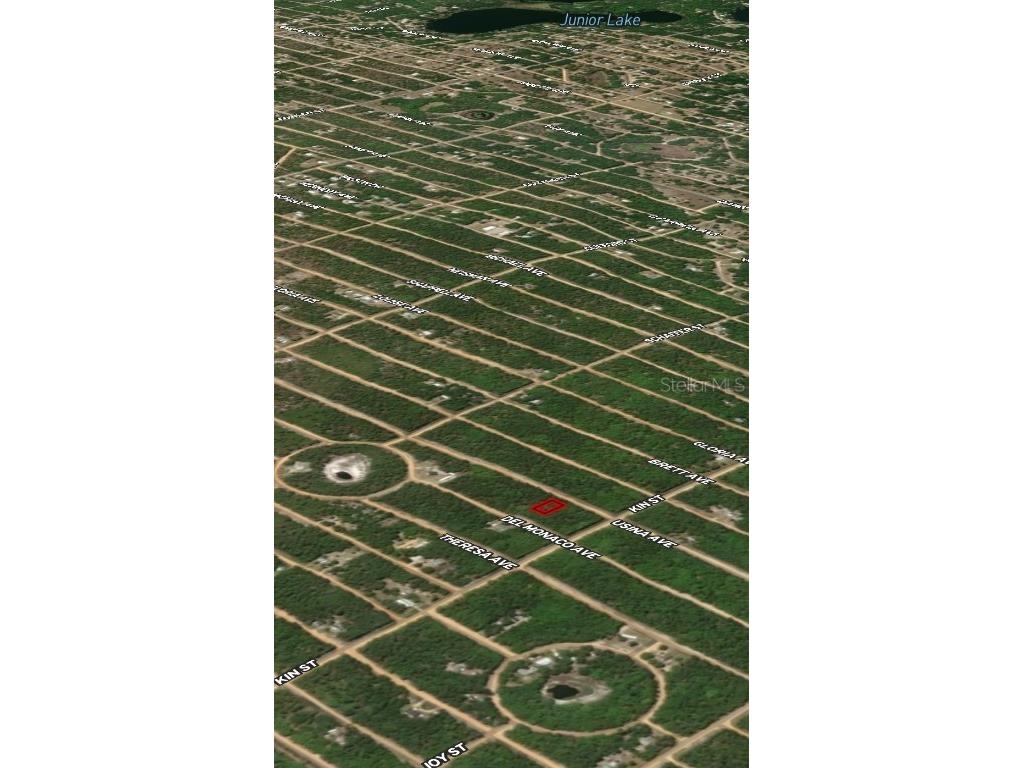 LOT 4 Usina Avenue Interlachen FL 32148 OM710490 image4