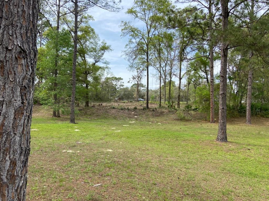 LOT 4 W Hwy 40 Dunnellon FL 34432 G5069681 image1