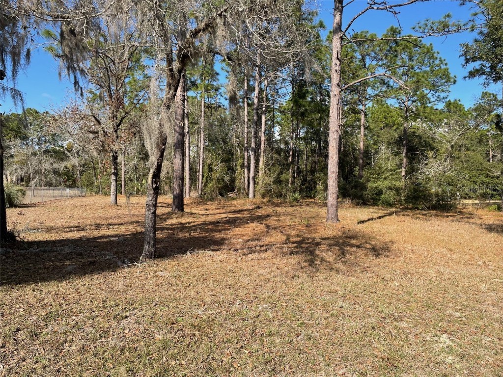 LOT 40 SW Marine Boulevard Dunnellon FL 34431 OM704097 image1