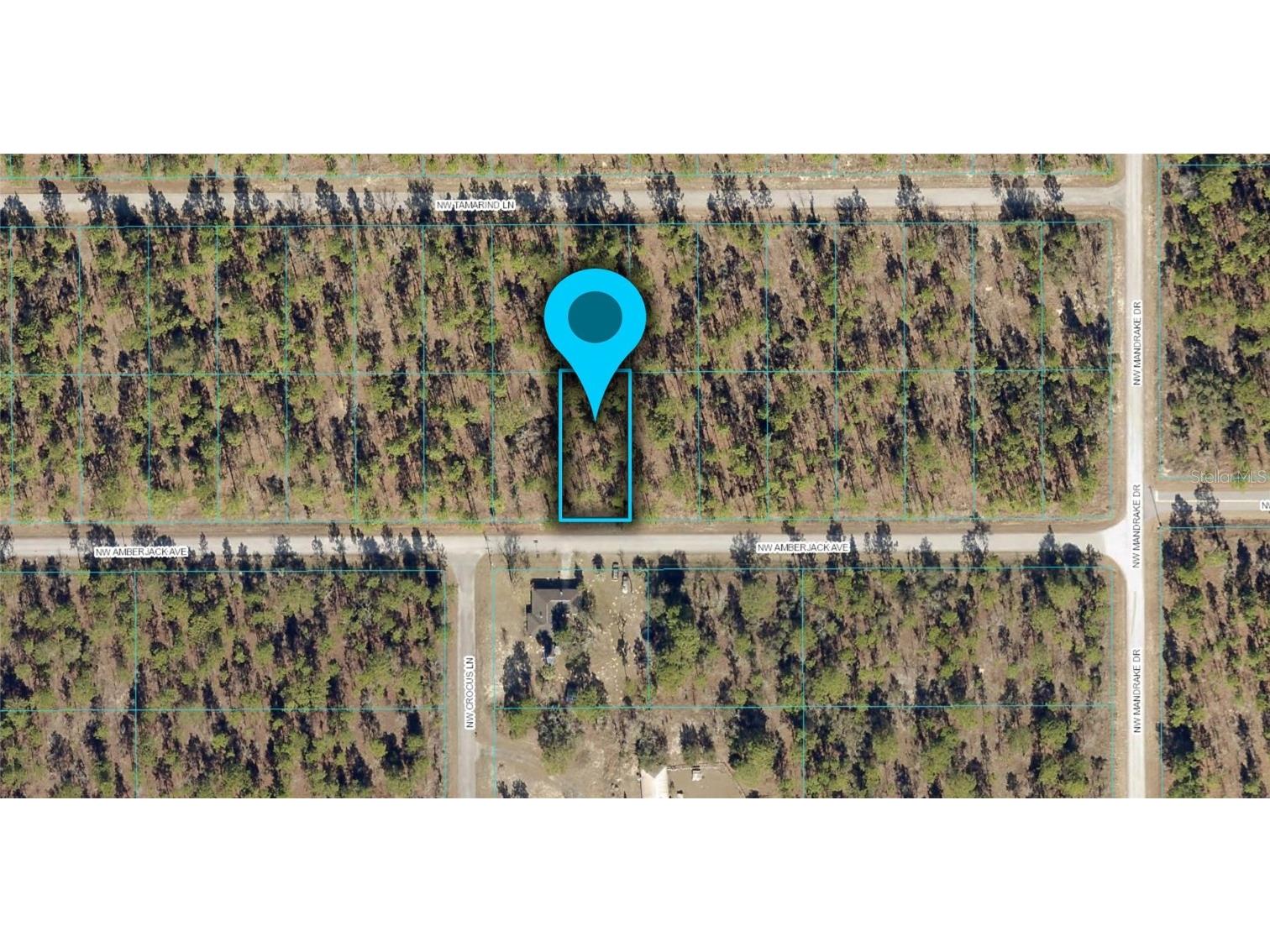 LOT 41 NW Amberjack Avenue Dunnellon FL 34431 A4548208 image1