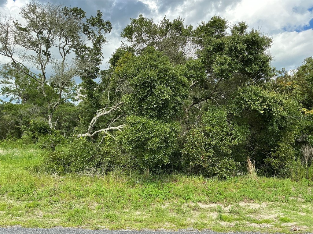 LOT 44 SW 39th Terrace Ocala FL 34473 OM682842 image1