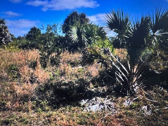 LOT 45 Barnsdale Circle North Port FL 34288 C7522851 image3