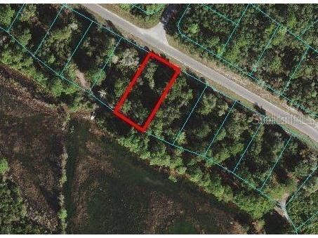 LOT 45 Fisher Way Ocklawaha FL 32179 OM696422 image1