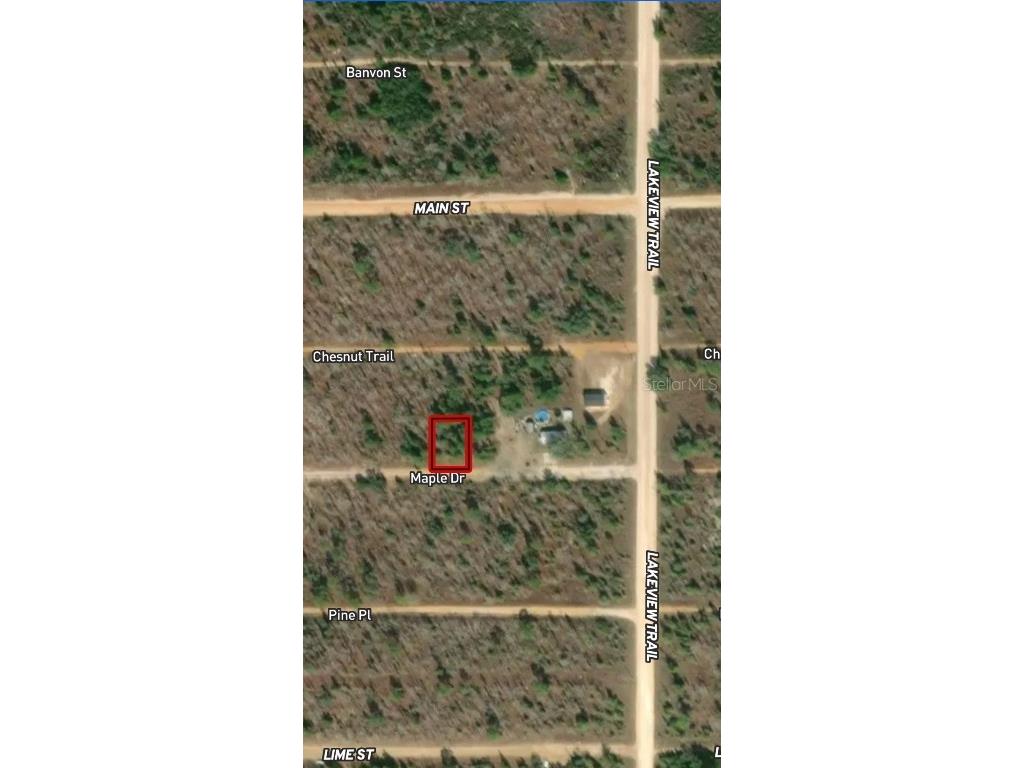 LOT 45 & 46 Maple Drive Interlachen FL 32148 OM710337 image1