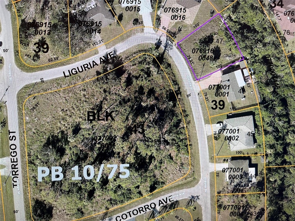 LOT 47 Majorca Place North Port FL 34287 N6129611 image3