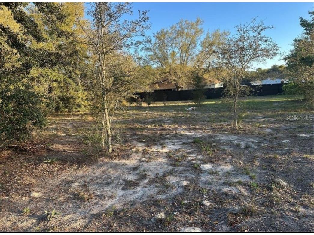 LOT 5 & 6 Sw 107th Street Dunnellon FL 34432 OM712619 image1