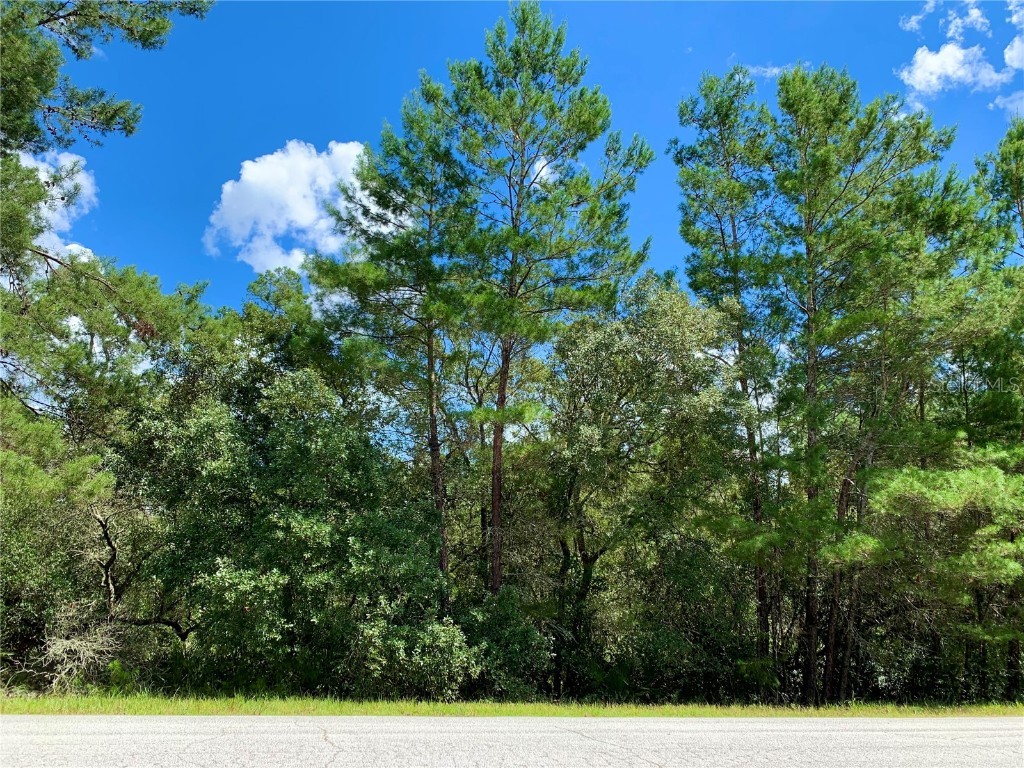 LOT 5 Aspen Street Eustis FL 32736 - LAKE NORRIS G5060362 image1