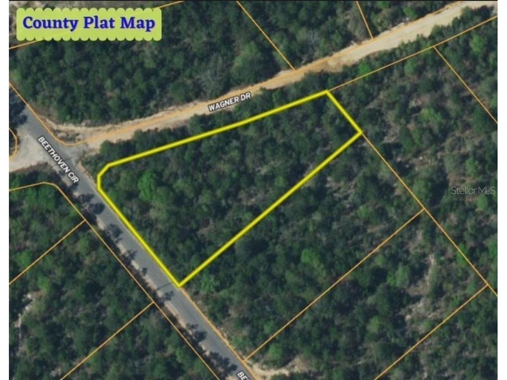 LOT 5 Beethoven Circle Defuniak Springs FL 32433 OM660793 image1