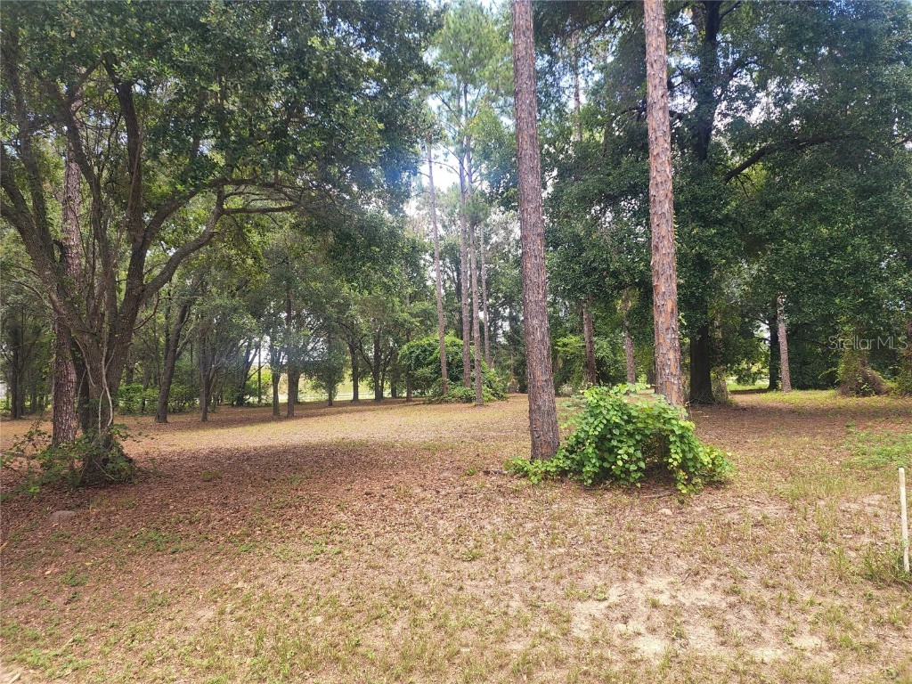 LOT 5 Bonsmara Drive Leesburg FL 34748 O6086875 image1