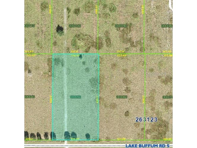 LOT 5 Lake Buffum Road S Fort Meade FL 33841 B4901874 image1