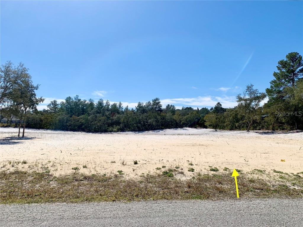LOT 5 Larkspur Avenue Eustis FL 32736 - LAKE NORRIS G5078445 image1