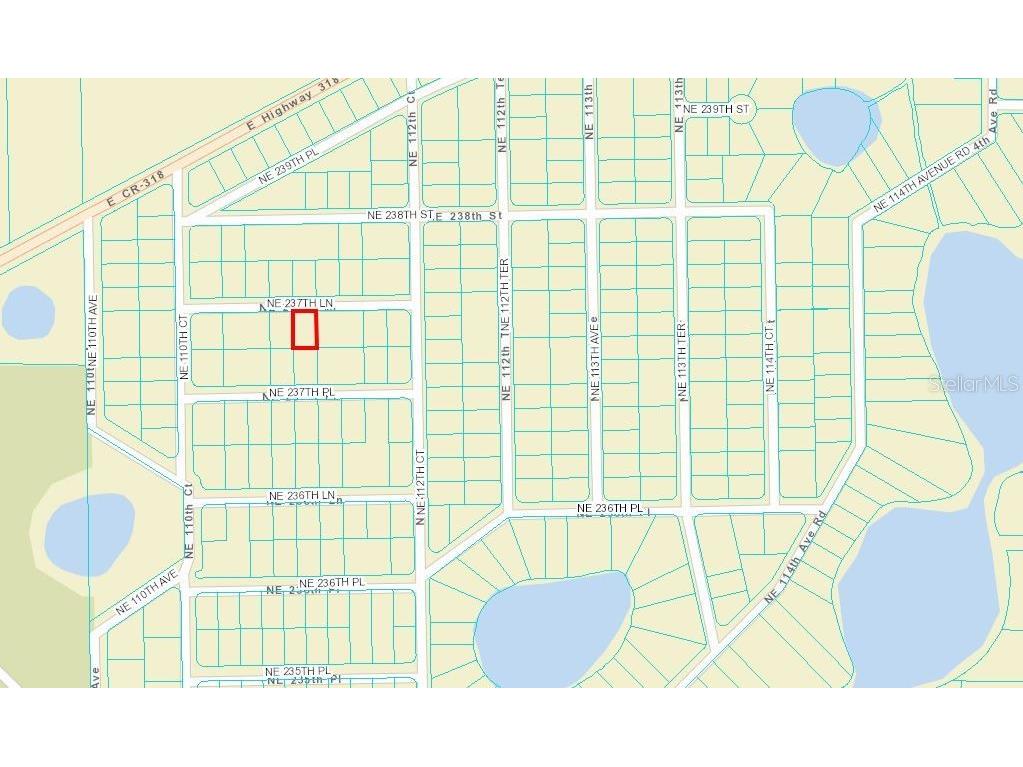 LOT 5 NE 237th Lane Fort Mc Coy FL 32134 OM633398 image1