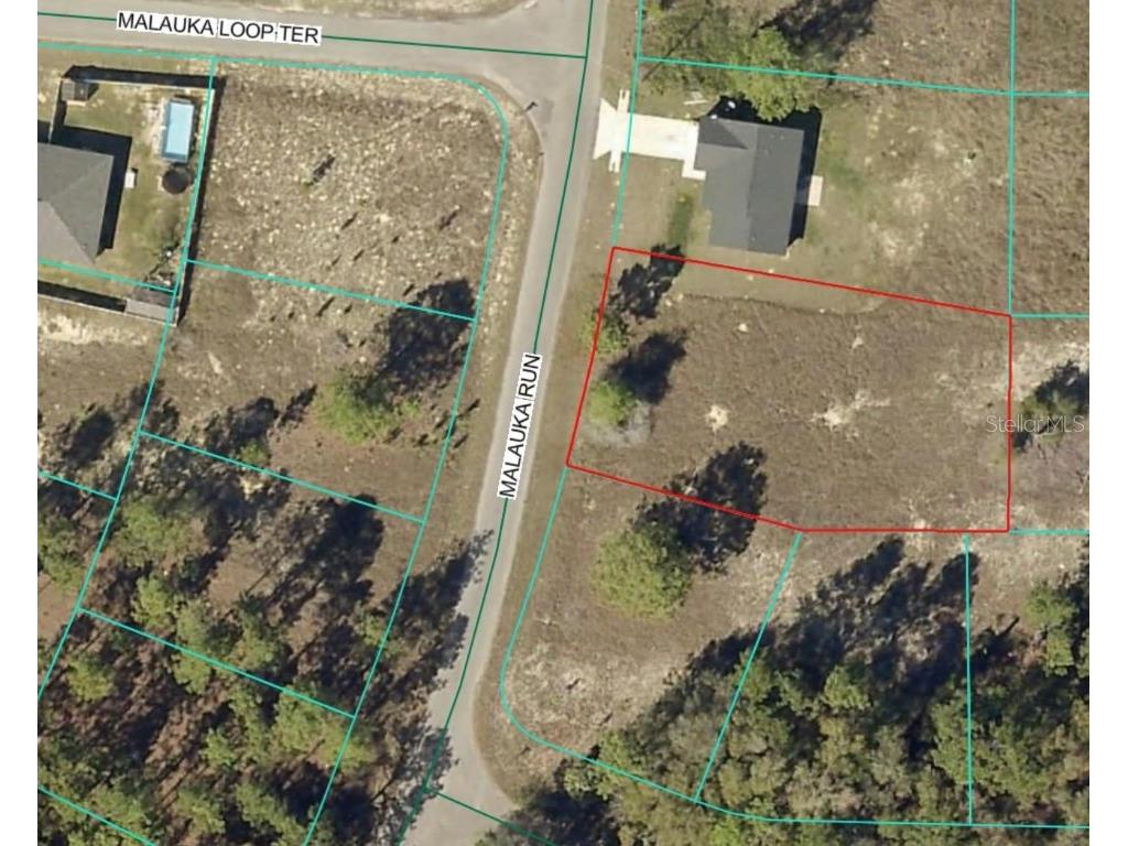LOT 5 SE Malauka Run Ocklawaha FL 32179 OM714591 image1
