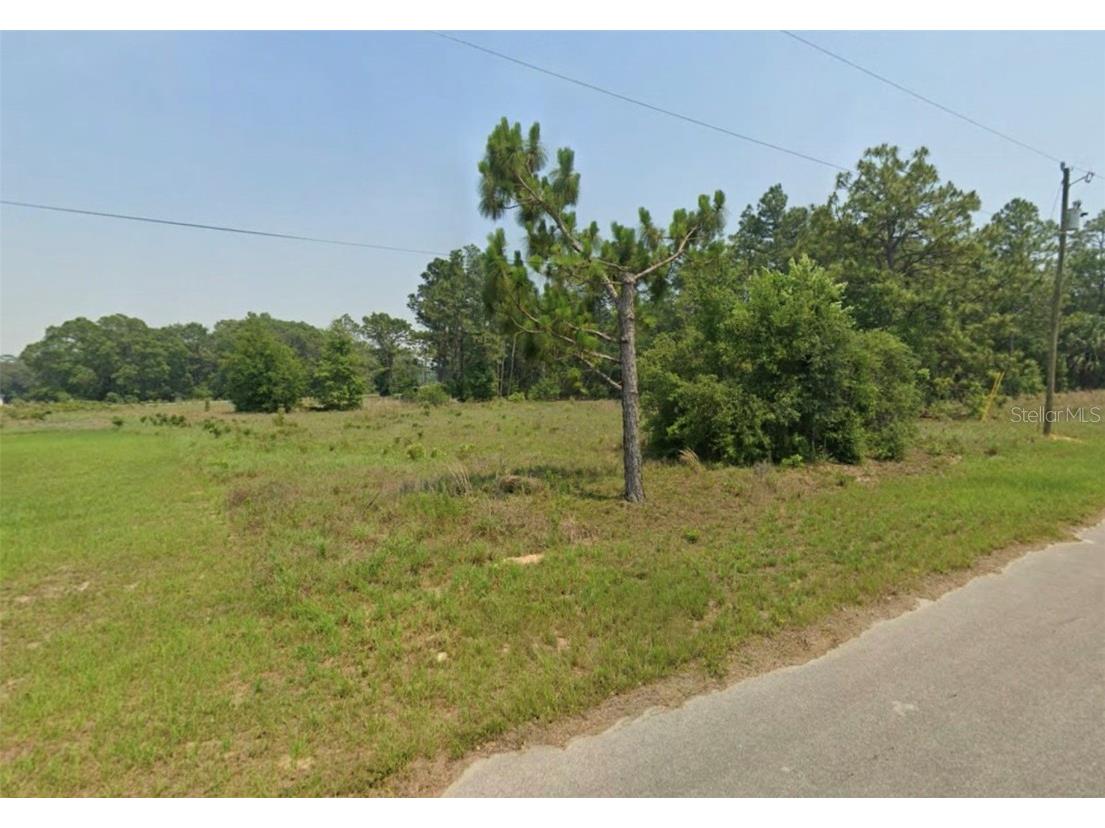 LOT 5 SE Malauka Run Ocklawaha FL 32179 OM714591 image3