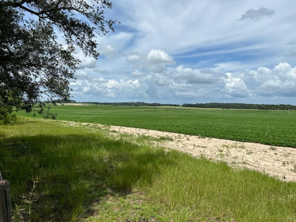 LOT 50 SW Viburnum Road Dunnellon FL 34431 OM656279 image1