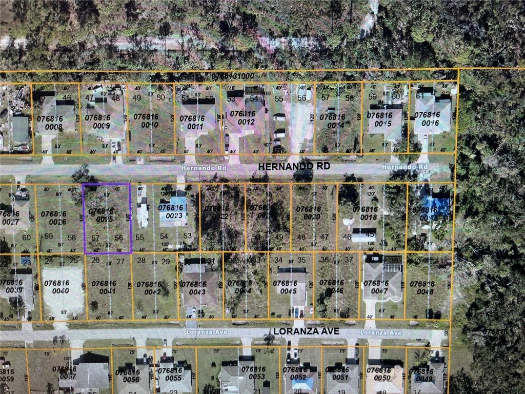 LOT 56 & 57 Hernando Road North Port FL 34287 N6130040 image1