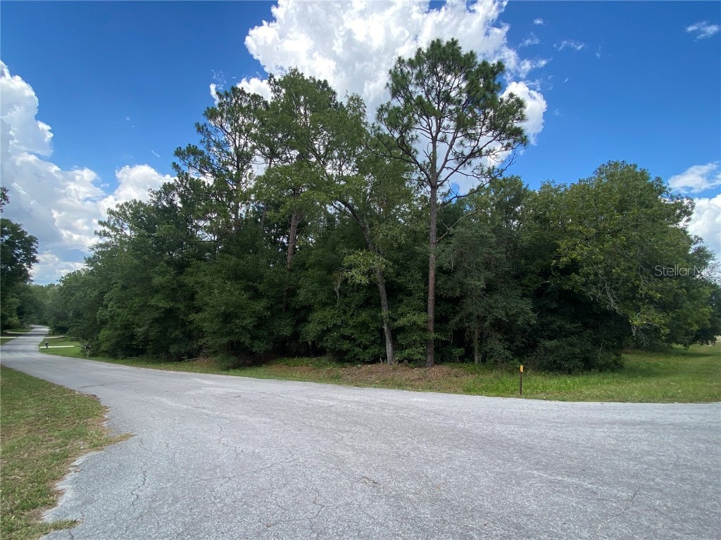 LOT 57 SW 203 Avenue Dunnellon FL 34431 - THE RAINBOW RIVER OM680486 image2