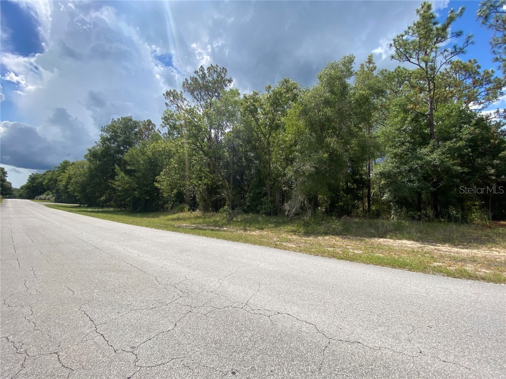 LOT 57 SW 203 Avenue Dunnellon FL 34431 - THE RAINBOW RIVER OM680486 image3