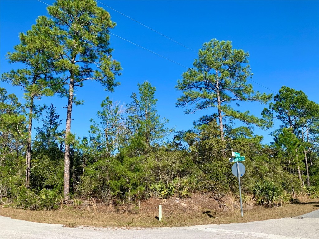 LOT 6 Aspen Street Eustis FL 32736 G5078074 image1