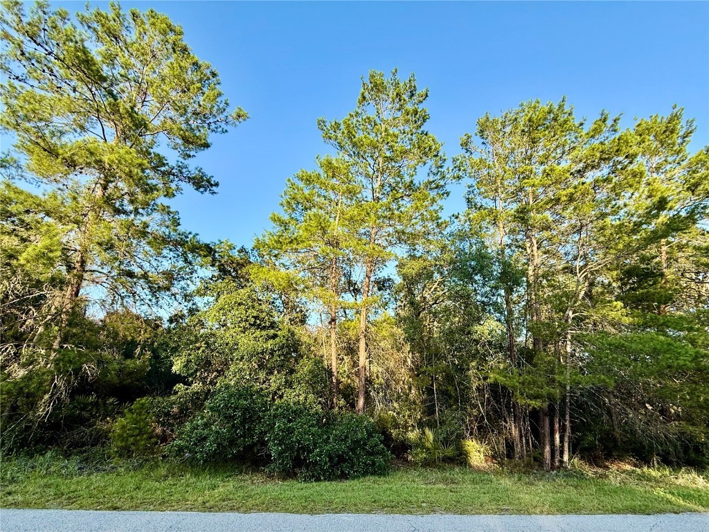 LOT 6 Aspen Street Eustis FL 32736 - LAKE NORRIS G5098896 image1