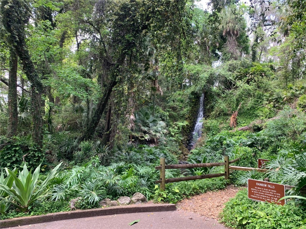 LOT 6 SW 186th Circle Dunnellon FL 34432 TB8453735 image5