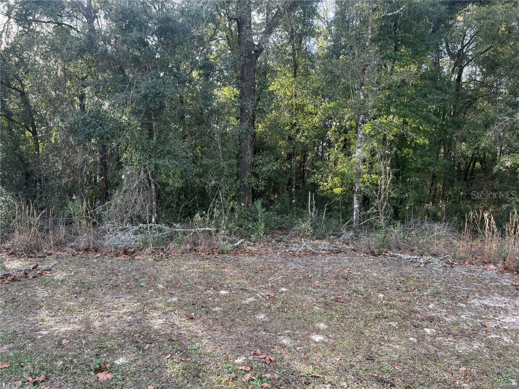 LOT 6 SW 59 Th Ln Dunnellon FL 34431 OM671135 image1