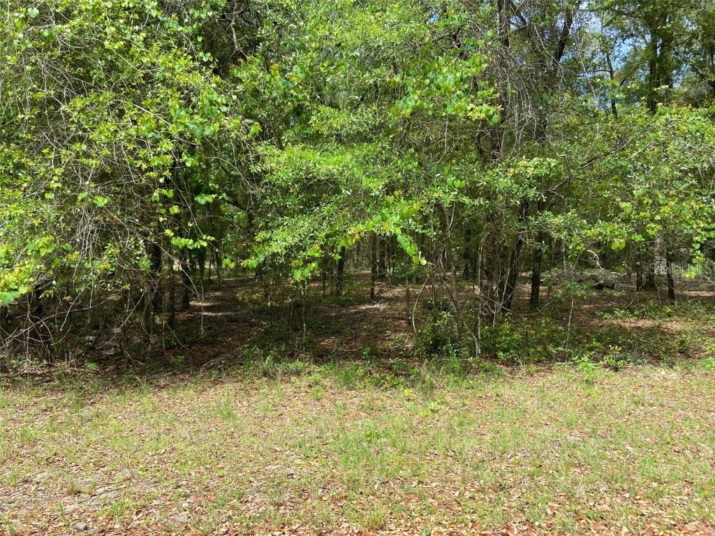 LOT 6 SW 83 Rd Pl Dunnellon FL 34431 - RAINBOW RIVER OM638515 image1