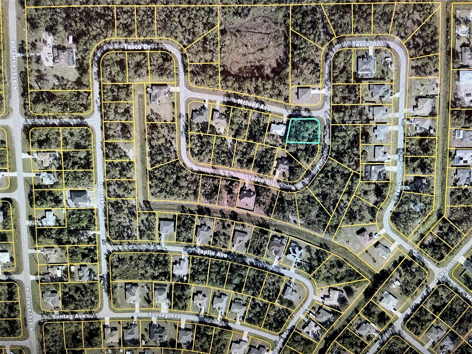 LOT 6 Tasco Drive North Port FL 34291 N6143333 image2