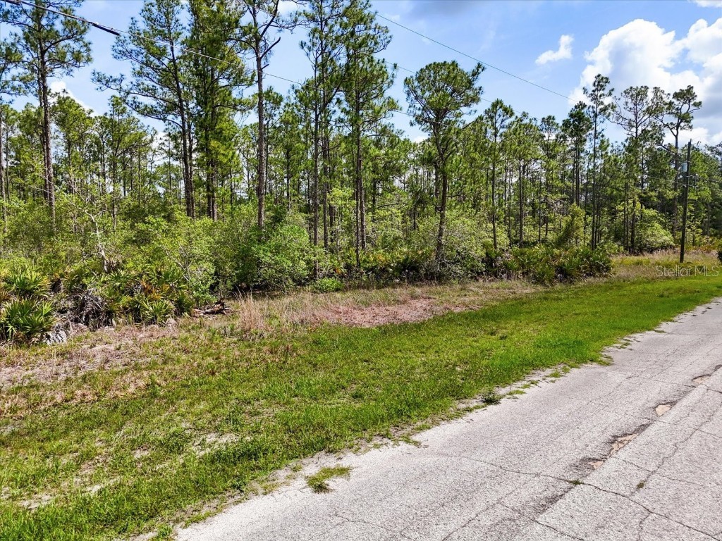 LOT 61 Meadow Lark Boulevard Lake Wales FL 33898 G5098092 image1