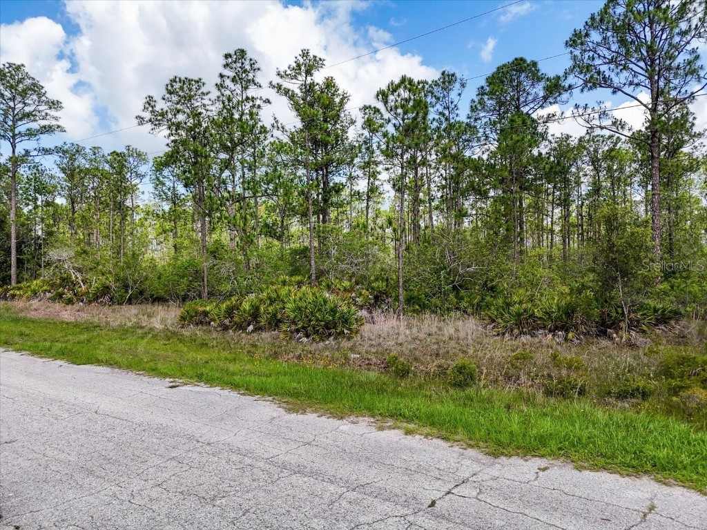 LOT 61 Meadow Lark Boulevard Lake Wales FL 33898 G5098092 image12