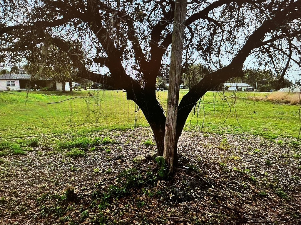 LOT 62&63 Hernando Road North Port FL 34287 N6137729 image1