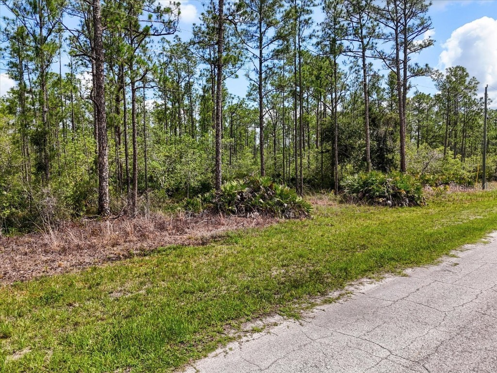 LOT 62 Meadow Lark Boulevard Lake Wales FL 33898 G5098096 image1