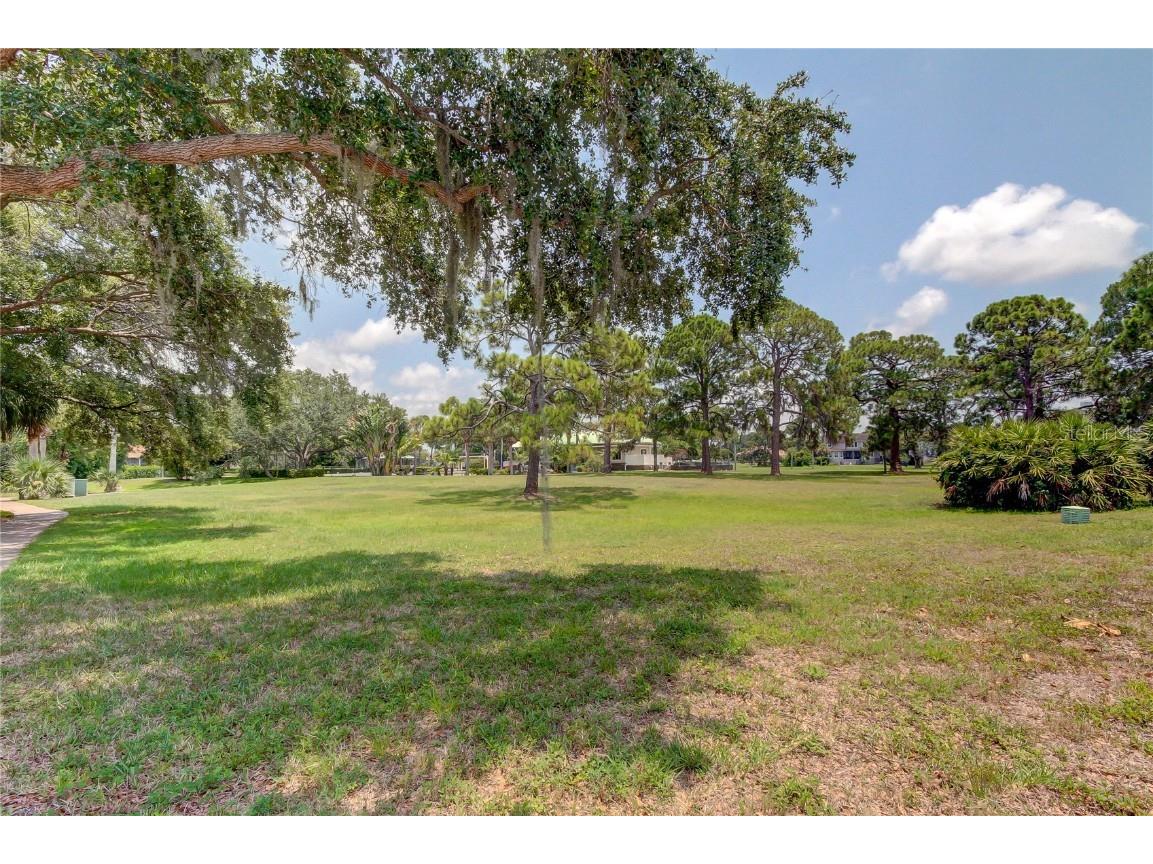 LOT 67 Harbour Watch Drive Tarpon Springs FL 34689 T3383540 image1