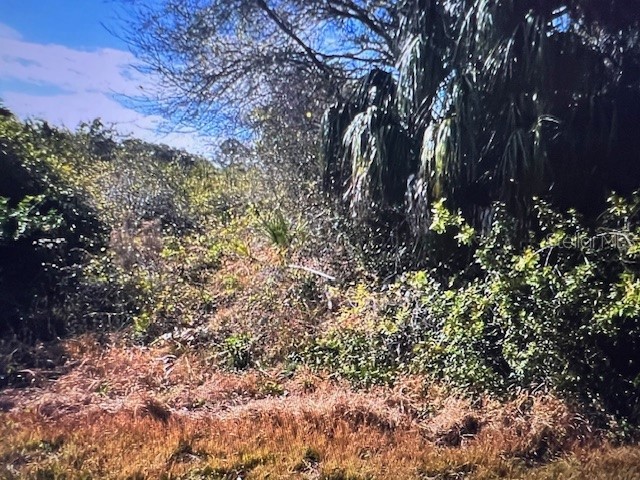 LOT 67 Harcourt Circle North Port FL 34288 C7522826 image3
