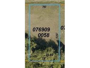 LOT 67 Trionfo Avenue North Port FL 34287 N6133569 image1