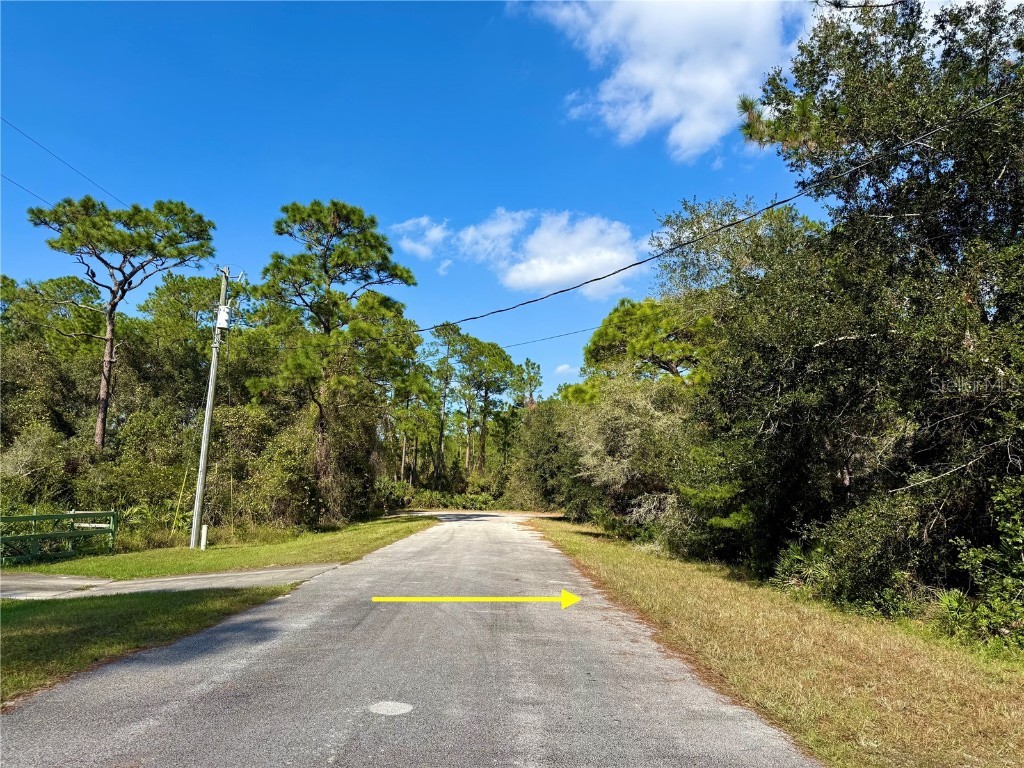 LOT 7 Chinaberry Way Eustis FL 32736 - LAKE NORRIS G5089605 image1
