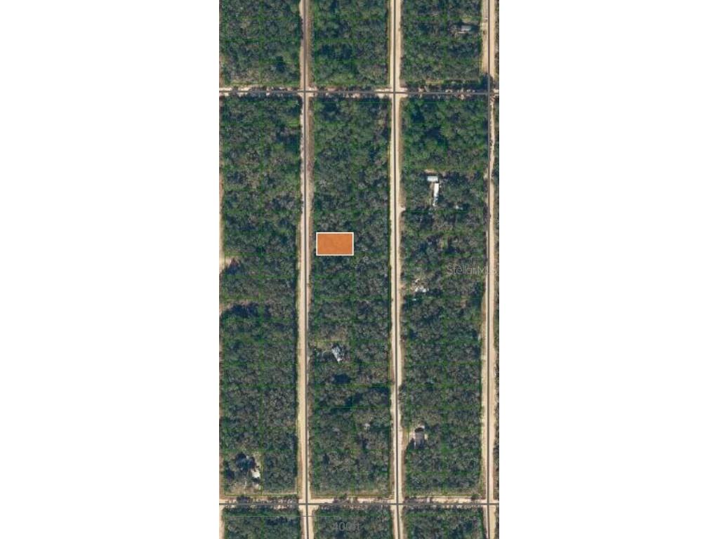 LOT 7 Neilsen Avenue Interlachen FL 32148 OM710451 image2